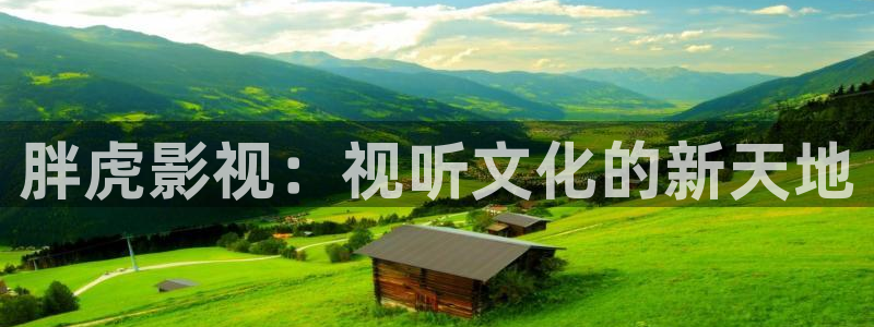 飘花影院现在搬到什么地方了：胖虎影视：视听文化的新天地