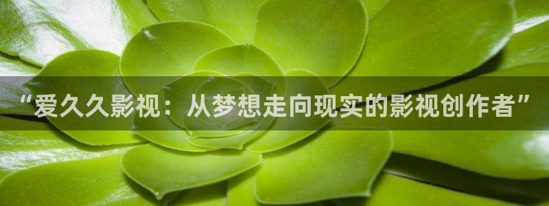飘花影视：“爱久久影视：从梦想走向现实的影视创作者”