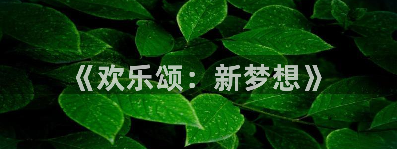 飘花影院在线电视剧免费观看：《欢乐颂：新梦想》